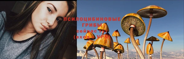 хмурый Новокубанск