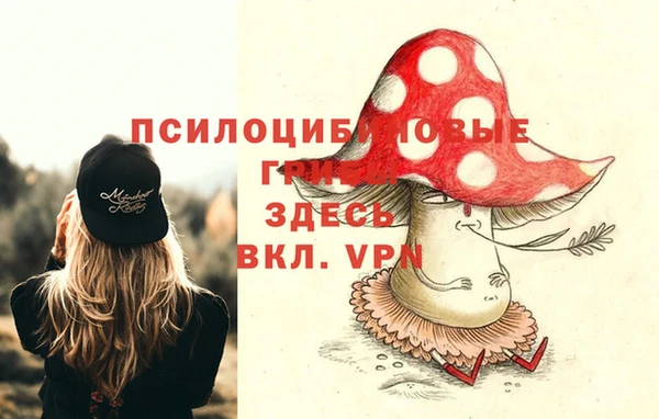 наркотики Новозыбков