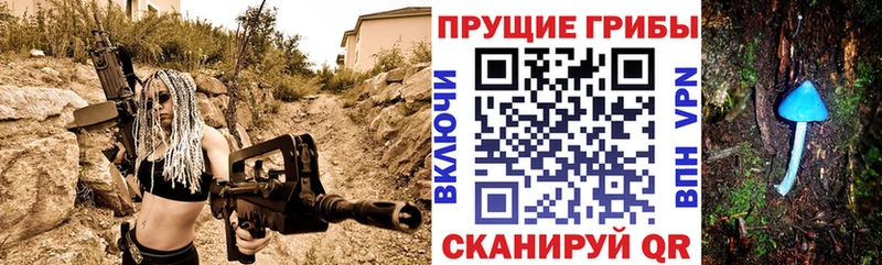 Галлюциногенные грибы Psilocybine cubensis  Бирюч 