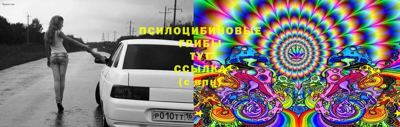 Псилоцибиновые грибы мицелий  Бирюч 